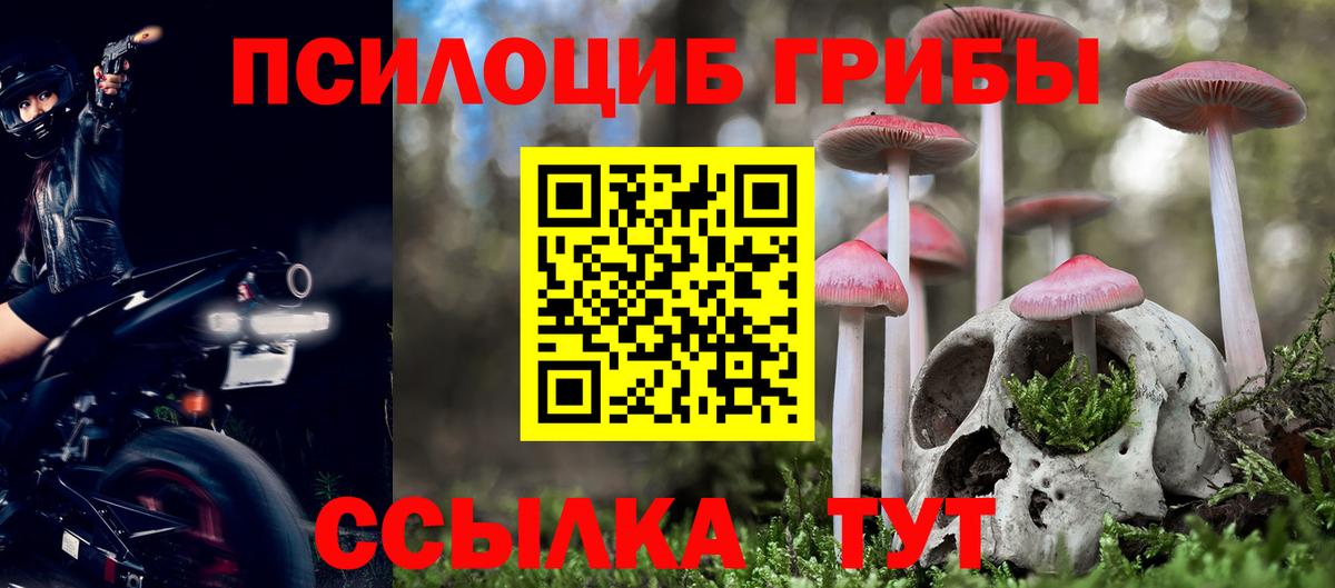 Псилоцибиновые грибы Psilocybe  Вход с VPN  Псилоцибиновые грибы ЛСД  Кашира 